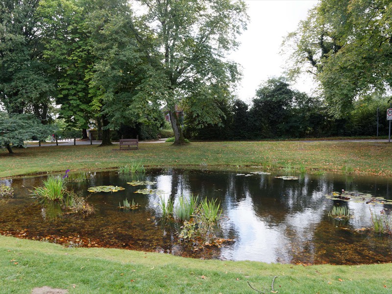 tatsfield_image_5